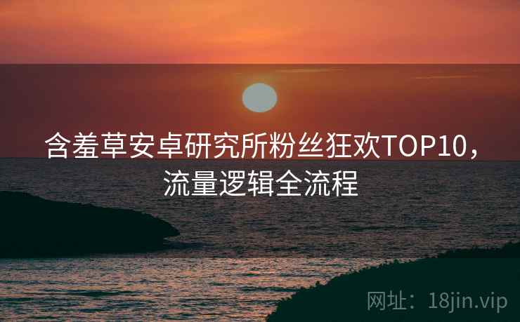 含羞草安卓研究所粉丝狂欢TOP10，流量逻辑全流程